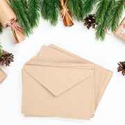 Send Holiday Cards/Letters