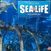 SEA LIFE Arizona Aquarium