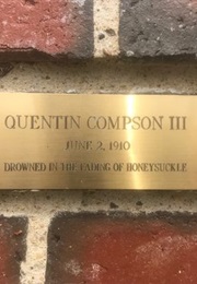 Quentin Compson (William Faulkner)