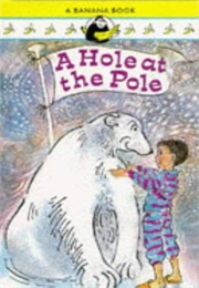 A Hole at the Pole (Chris D'lacey)