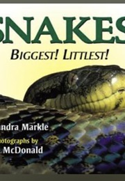 Snakes Biggest! Littlest! (Sandra Markle)