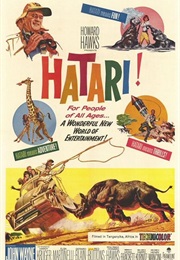 Hatari! - Russell Harlan (1962)