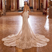 Petal-Shaped Edge on Train