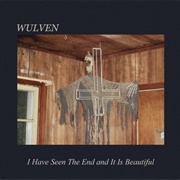 I Have Seen the End and It Is Beautiful