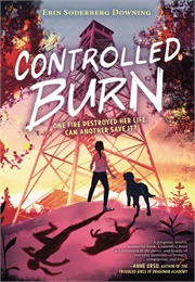 Controlled Burn (Erin Soderberg Downing)
