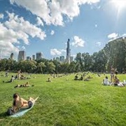 Summertime in New York City