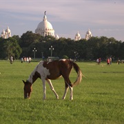 Maidan Park, Kolkata