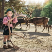Reindeer Farm, Leavenworth, WA