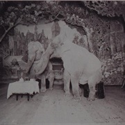 Elephants Taking Tea in Paris (Harry C. Ellis)