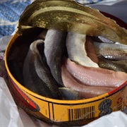 Surströmming (Fermented Herring)