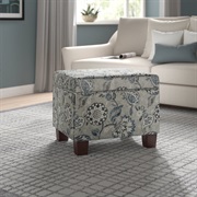 Storage Ottoman in Living Room