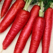 Red Carrot
