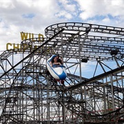 Wild Chipmunk (Lakeside Amusement Park)