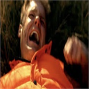 CSI: Miami: "A Grizzly Murder" (S5,E17)