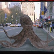 S4.E1: The Magic Hour