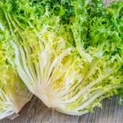 Curly Lettuce