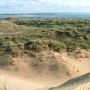 Braunton Burrows Biosphere Reserve, North Devon, England