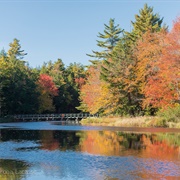Southwest Nova Biosphere Reserve, Nova Scotia, Canada