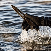 Diving Knife