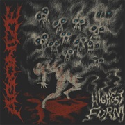 Agonize - Highest Form