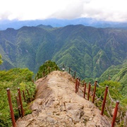 Mount Odaigahara, Mount Omine, & Osugidani Biosphere Reserve, Japan