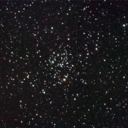 Heart-Shaped Cluster
