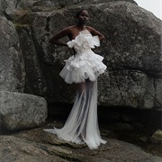 Sculptural Top Over Sheer Skirt