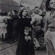 Jewish Refugees Awaiting Deportation From Palestine (Cornelius Ryan)