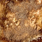 Multigrain Rye Bread With Cinnamon Sugar