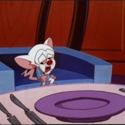 S3.E27: Brain's Night Off/Beach Blanket Brain