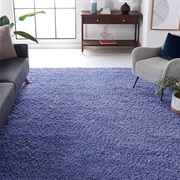 Soft/Plush Area Rug in Living Room