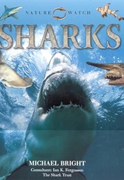 Sharks (Evert)
