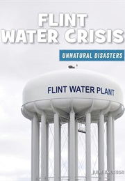 Flint Water Crisis (Julie Knutson)