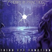 Theory in Practice - Third Eye Function