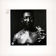 After the Rain - Muddy Waters