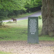 The Rufus Stone