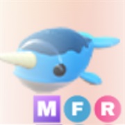 ･､ ⁿᵃʳʷʰᵃˡ