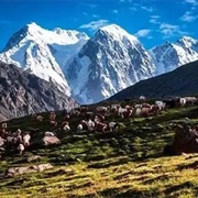 Bogeda Biosphere Reserve, Xinjiang, China