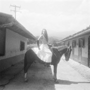 Corre Y Suelta a Los Perros (César Y Su Jardín, 2025)