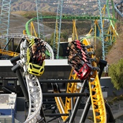West Coast Racers (Six Flags Magic Mountain, USA)