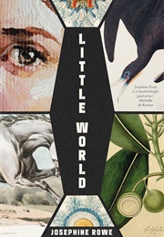 Little World (Josephine Rowe)