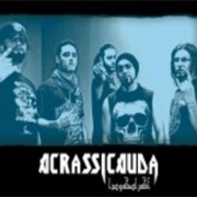 Acrassicauda (Iraq)