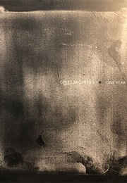 One Year: A Poetic Story About Love, Loss and Grief (Greet Broertjes)