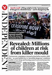 The Independent (Independent Digital News & Media Ltd)