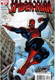 The Amazing Spider-Man #523 (J. Michael Straczynski & Mike Deodato Jr.)