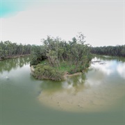 Great Bend, Murray River