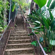 Hidden Stairways of Beachwood Canyon