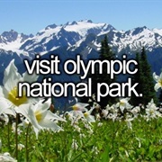 Visit Olympic National Park