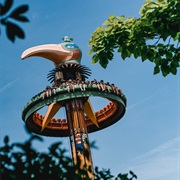 El Volador (Bellewaerde)