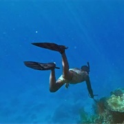 S48.E11: Coconut Etiquette